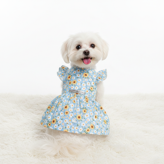 Dog in Floral Dress